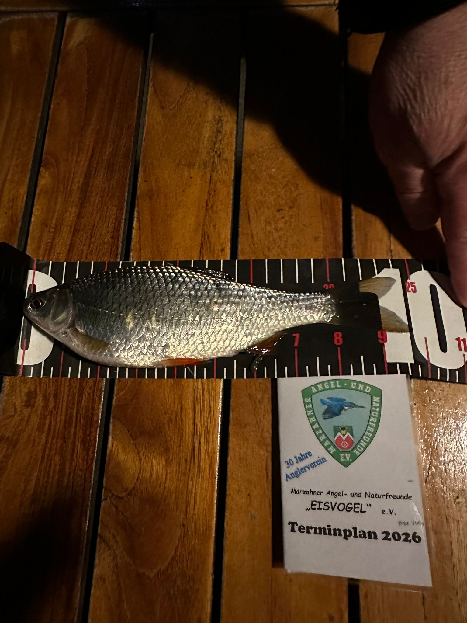 12 26 2026 05 01 Plötze 24cm